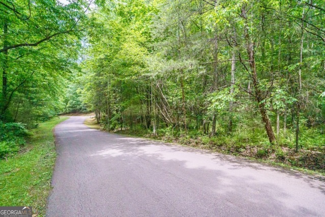 Lt 32 Oceola Drive Ellijay GA 30540