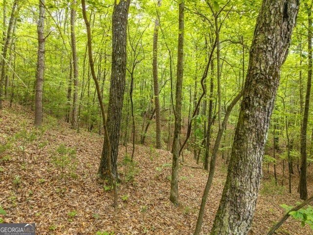 Lt 32 Oceola Drive Ellijay GA 30540