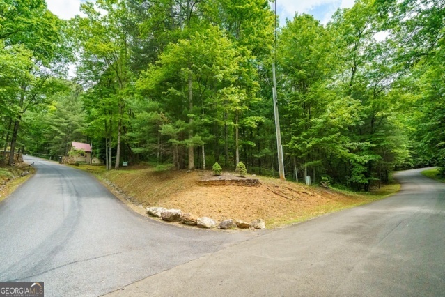 Lt 32 Oceola Drive Ellijay GA 30540