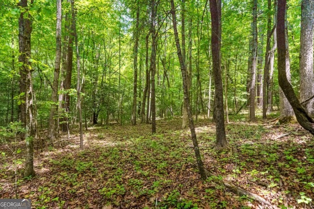 Lt 32 Oceola Drive Ellijay GA 30540