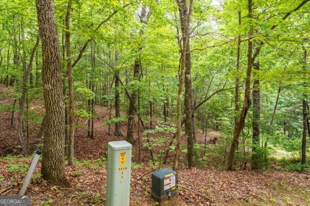 Lt 32 Oceola Drive Ellijay GA 30540
