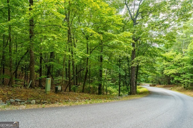 Lt 32 Oceola Drive Ellijay GA 30540