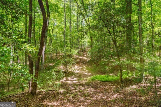 Lt 32 Oceola Drive Ellijay GA 30540