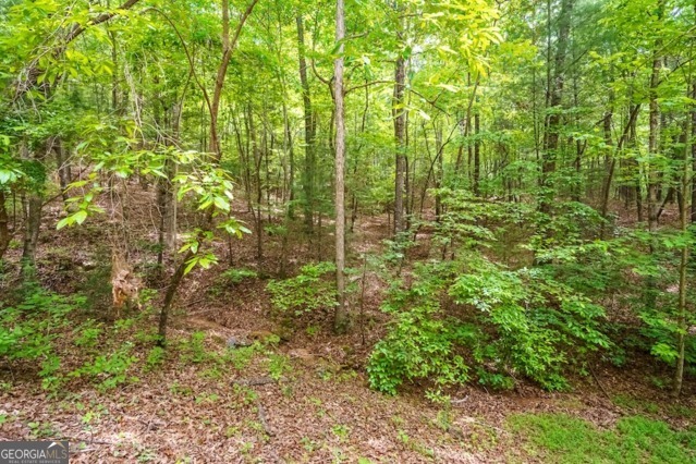 Lt 32 Oceola Drive Ellijay GA 30540