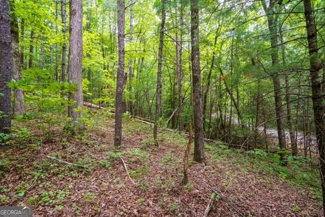 Lt 32 Oceola Drive Ellijay GA 30540