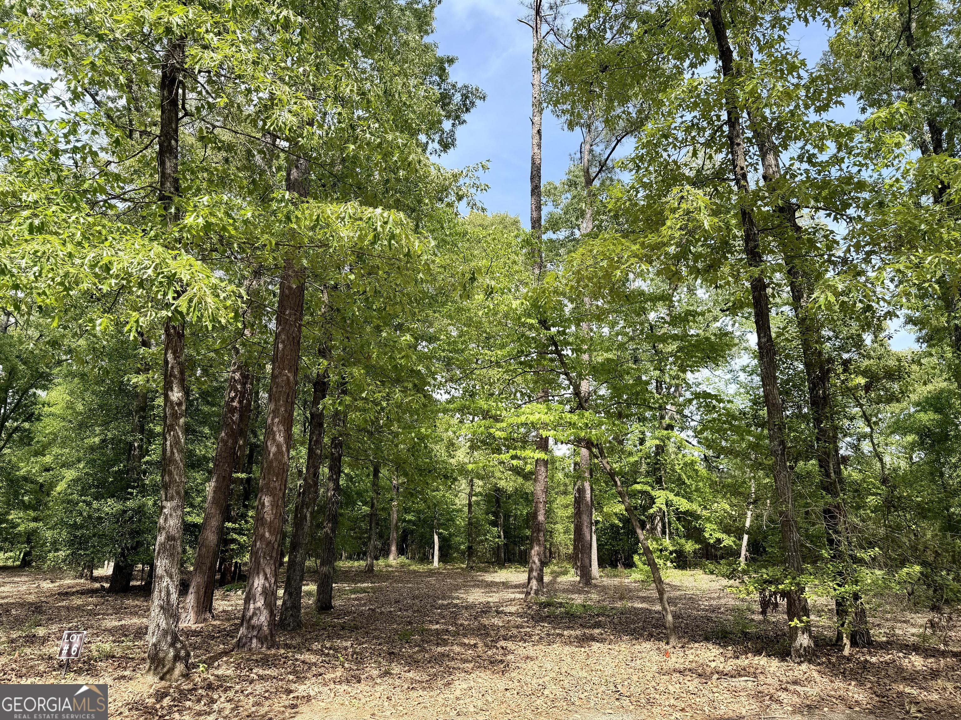 0 Deer Creek Trail Dublin GA 31021