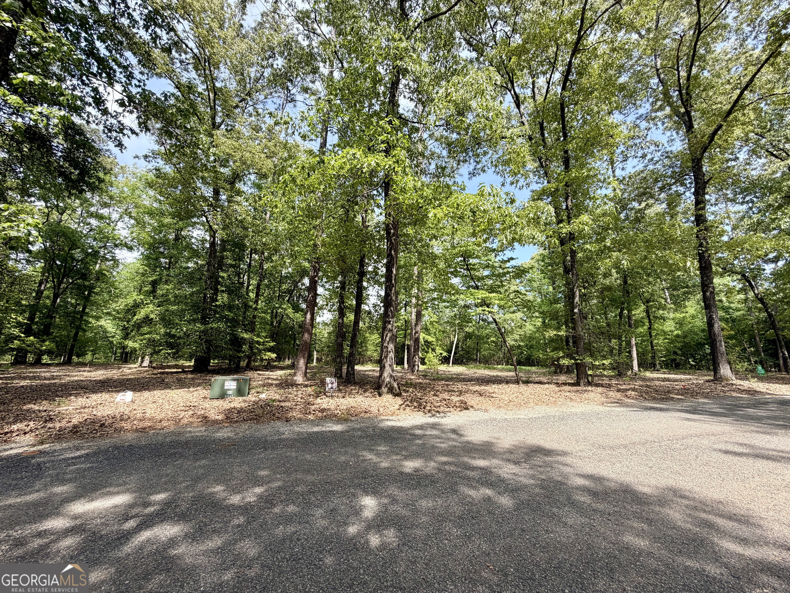 0 Deer Creek Trail Dublin GA 31021