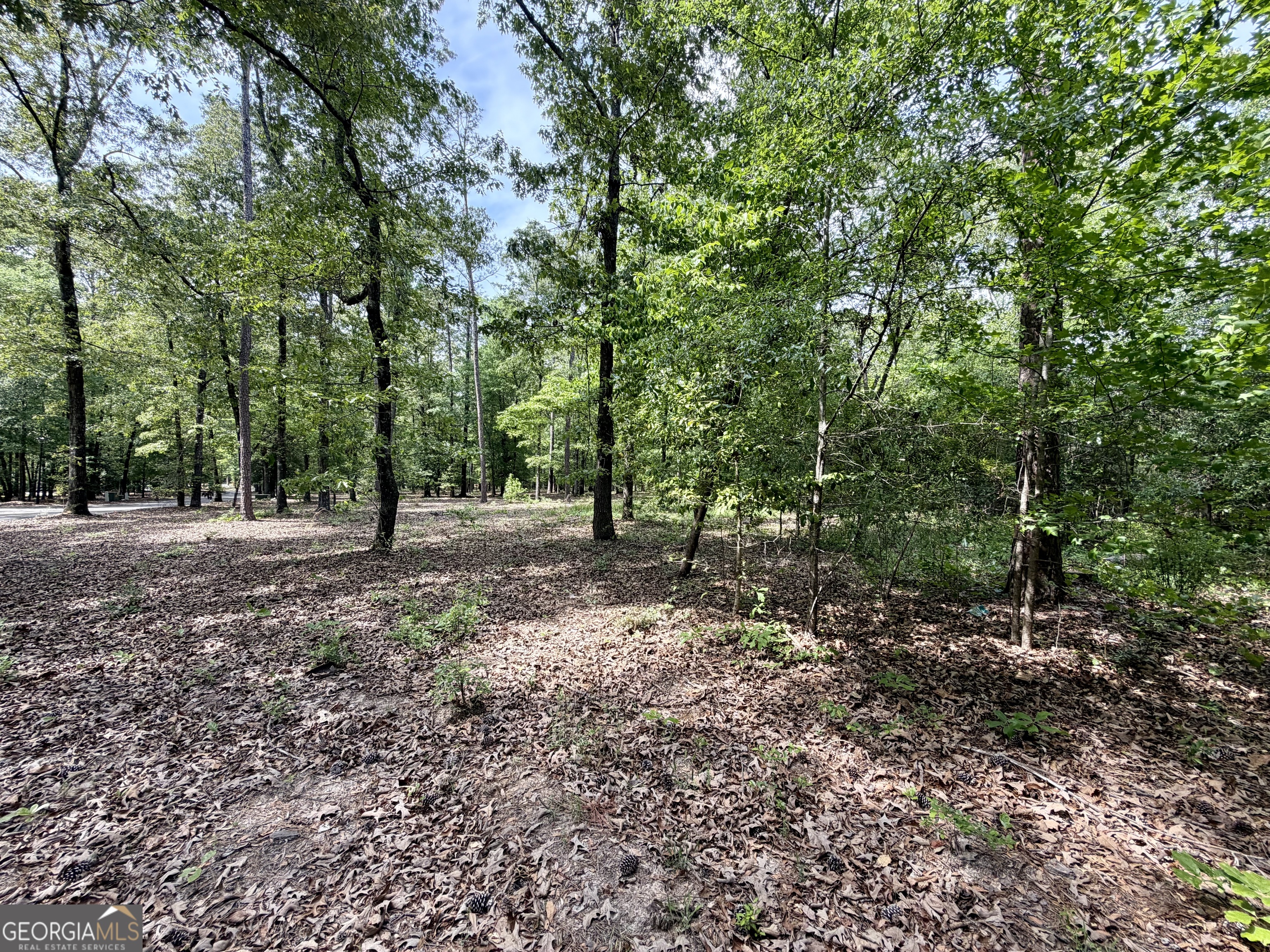 0 Deer Creek Trail Dublin GA 31021