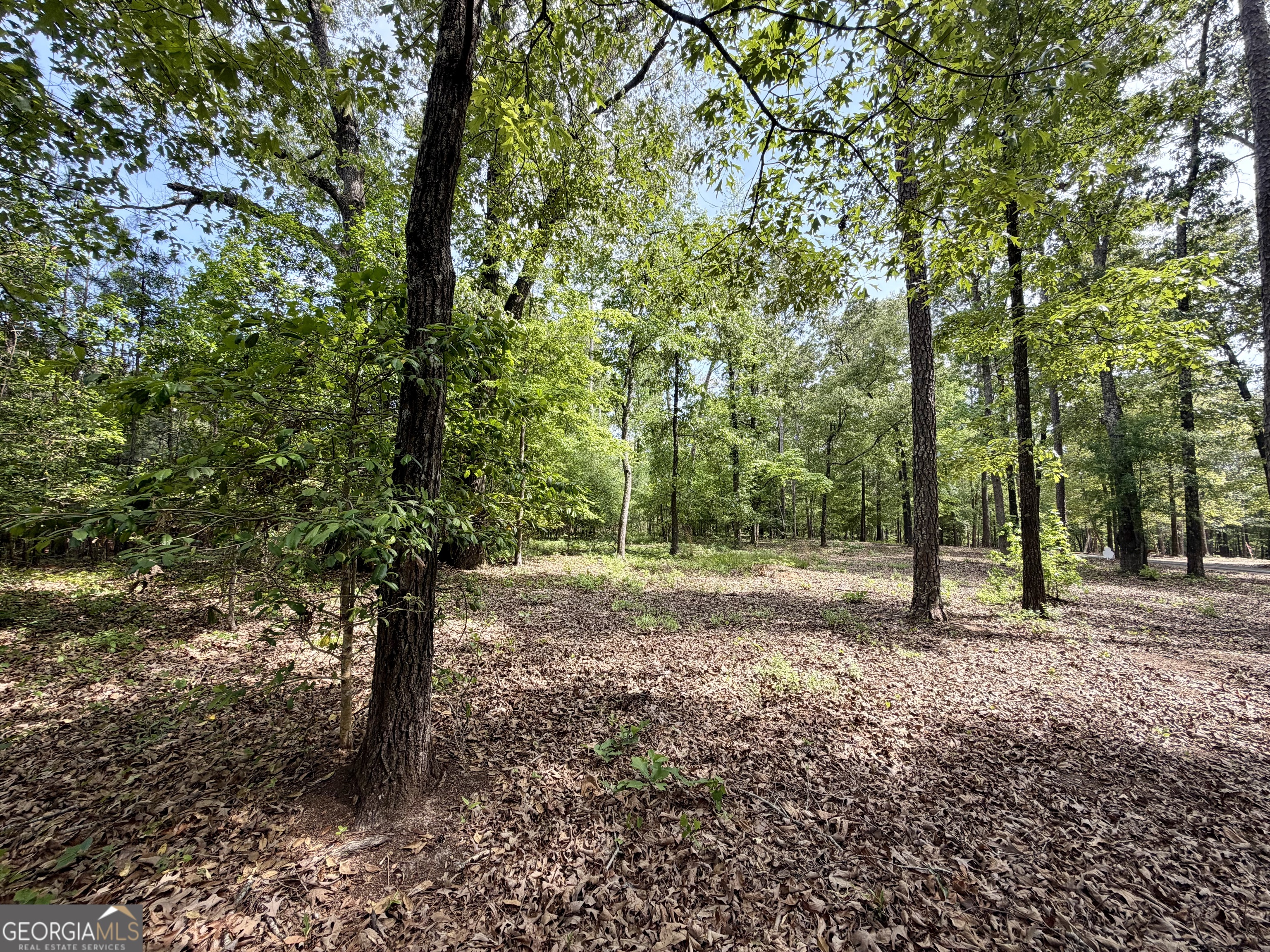 0 Deer Creek Trail Dublin GA 31021