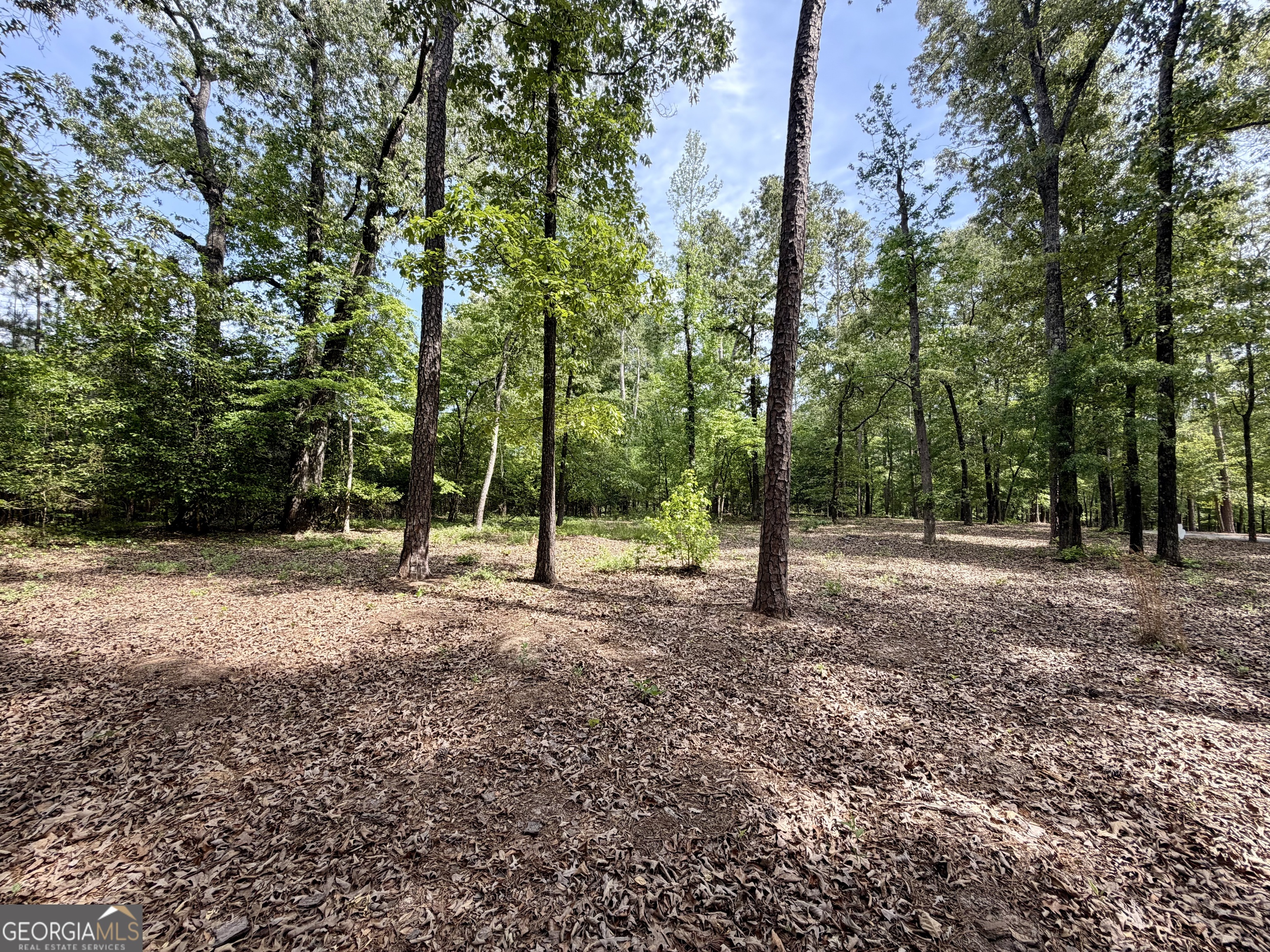 0 Deer Creek Trail Dublin GA 31021