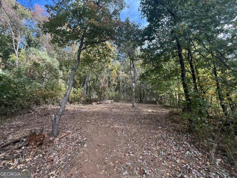 0 Pendley Circle Jasper GA 30143