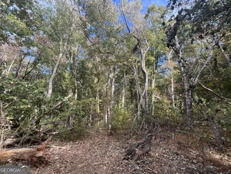 0 Pendley Circle Jasper GA 30143