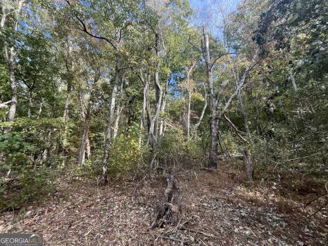 0 Pendley Circle Jasper GA 30143