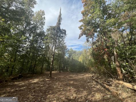 0 Pendley Circle Jasper GA 30143