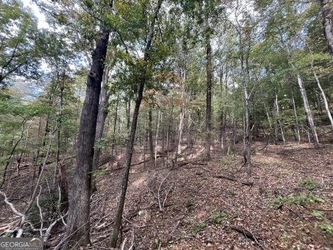 0 Pendley Circle Jasper GA 30143