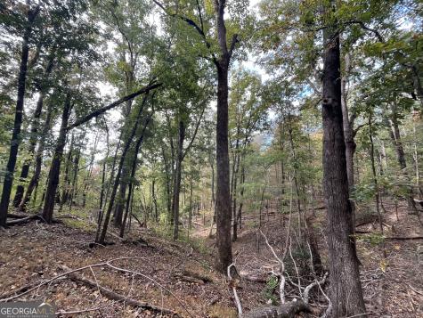 0 Pendley Circle Jasper GA 30143
