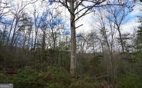 Lot 48 Laurel Brooke Blairsville GA 30512