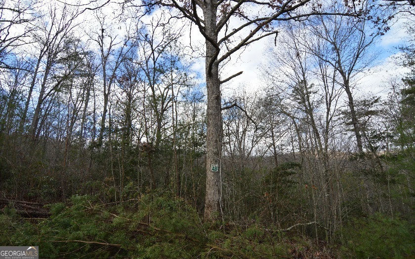 Lot 48 Laurel Brooke Blairsville GA 30512