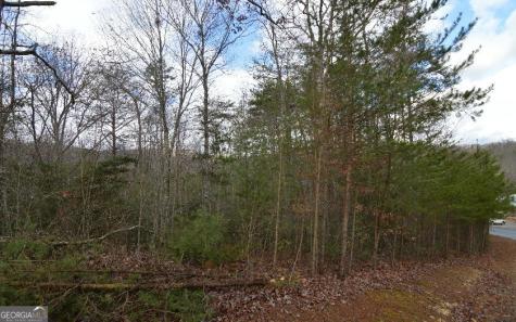 Lot 48 Laurel Brooke Blairsville GA 30512