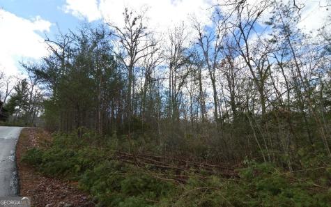 Lot 48 Laurel Brooke Blairsville GA 30512