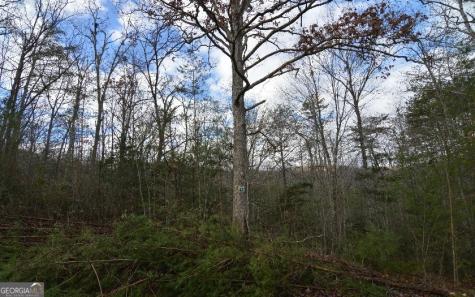 Lot 48 Laurel Brooke Blairsville GA 30512