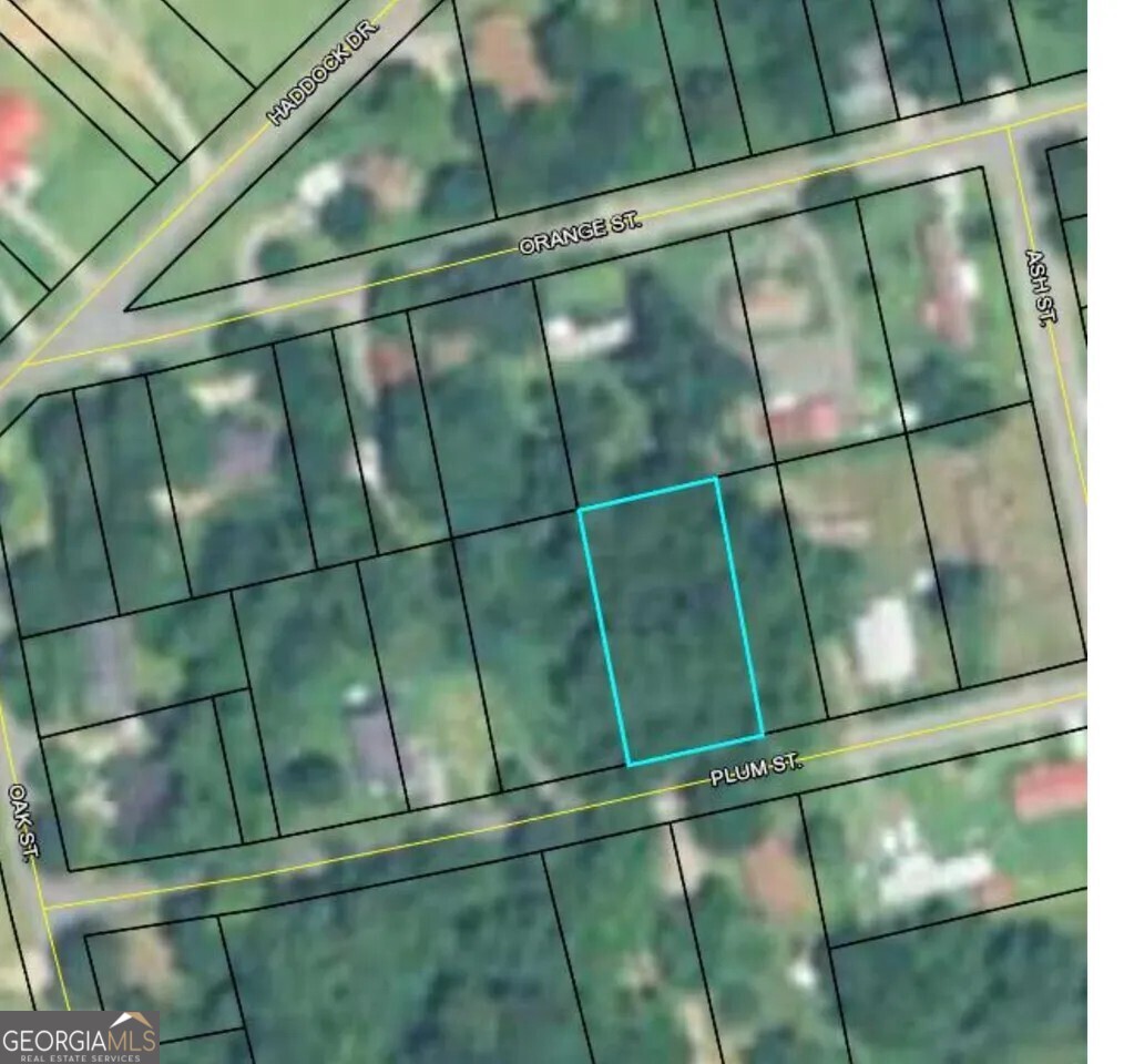 147 Plum Street Haddock GA 31033