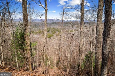 Lot 20 Raven Ridge Circle Mineral Bluff GA 30559