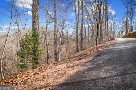 Lot 20 Raven Ridge Circle Mineral Bluff GA 30559