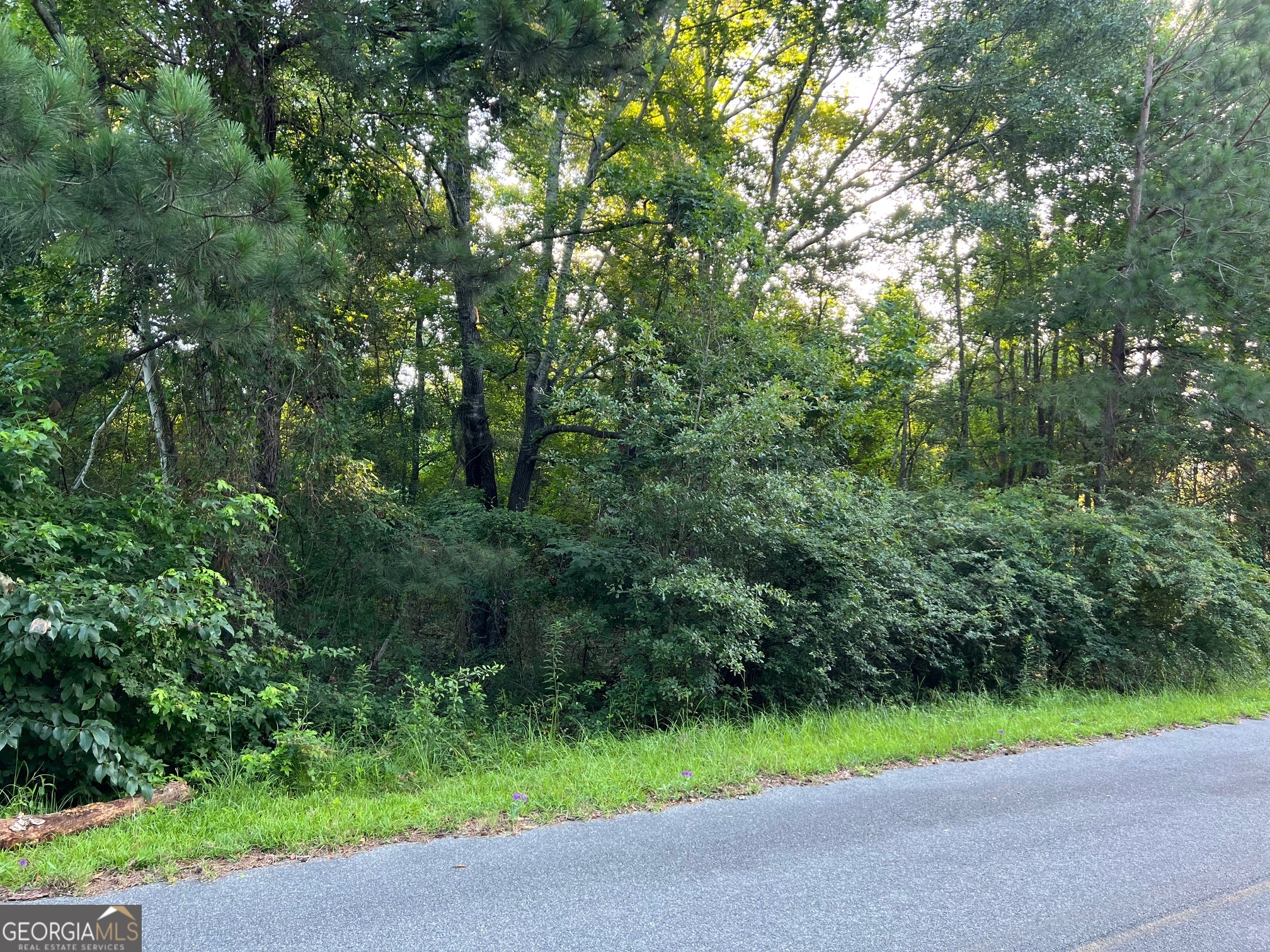 0 First Avenue Hawkinsville GA 31036