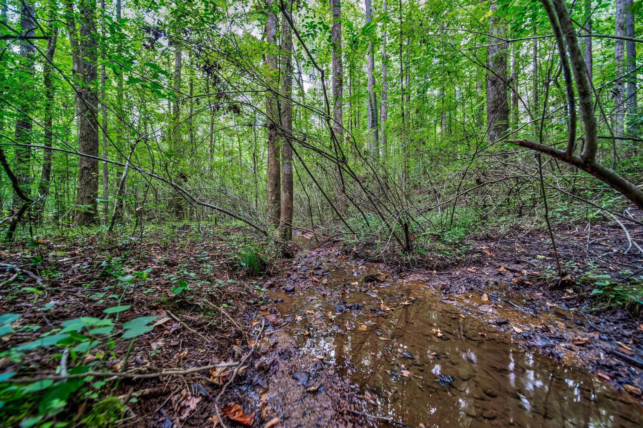 0 Borrow Pit Road Douglasville GA 30134