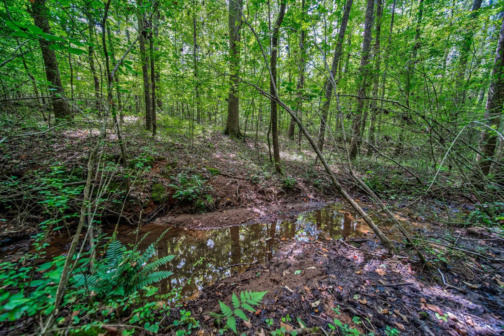 0 Borrow Pit Road Douglasville GA 30134