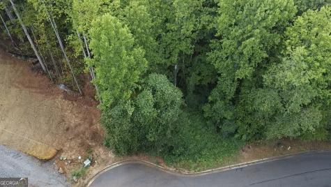 J58 Bent Grass Way Clayton GA 30525