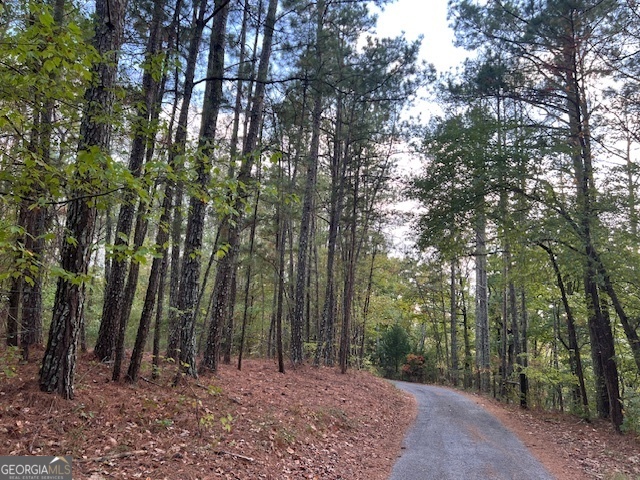 100 Valley View Drive NW Cartersville GA 30121