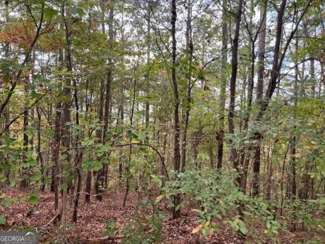 100 Valley View Drive NW Cartersville GA 30121