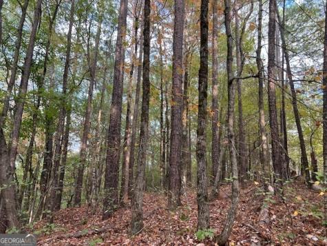 100 Valley View Drive NW Cartersville GA 30121