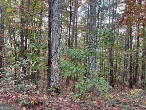 100 Valley View Drive NW Cartersville GA 30121