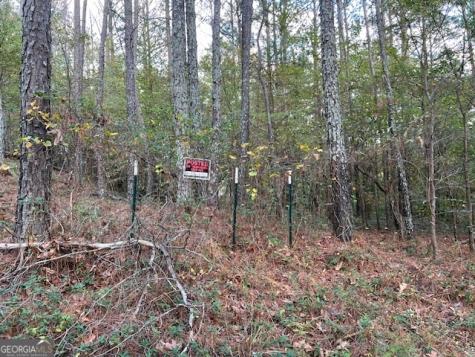 100 Valley View Drive NW Cartersville GA 30121