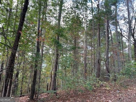 100 Valley View Drive NW Cartersville GA 30121