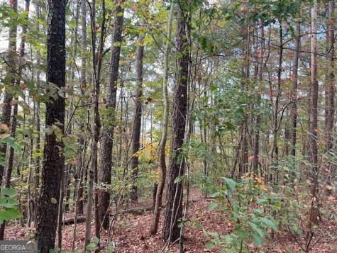 100 Valley View Drive NW Cartersville GA 30121