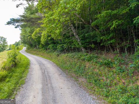 0 White Pine Road Mccaysville GA 30555