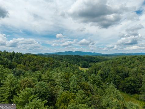 0 White Pine Road Mccaysville GA 30555