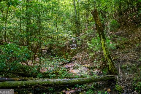 0 White Pine Road Mccaysville GA 30555