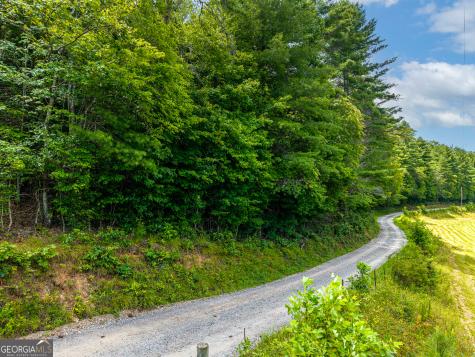 0 White Pine Road Mccaysville GA 30555