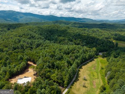 0 White Pine Road Mccaysville GA 30555