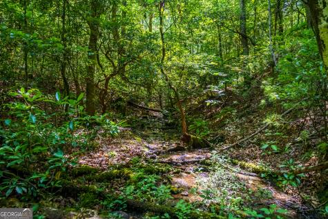 0 White Pine Road Mccaysville GA 30555