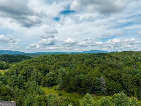 0 White Pine Road Mccaysville GA 30555