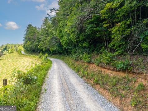 0 White Pine Road Mccaysville GA 30555