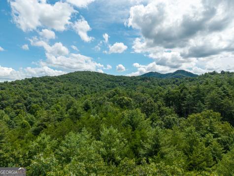 0 White Pine Road Mccaysville GA 30555