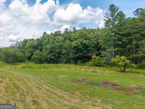 0 White Pine Road Mccaysville GA 30555