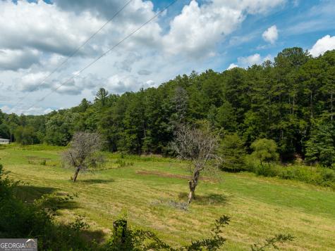 0 White Pine Road Mccaysville GA 30555